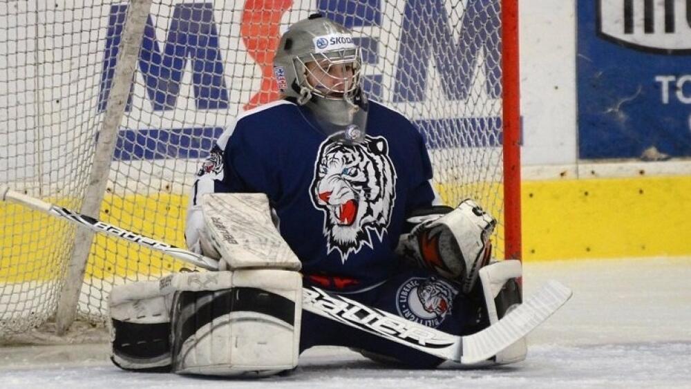 Viktorie Švejdová v dresu libereckých Tygřic.